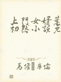 上门女婿叶辰萧初然小说免费读