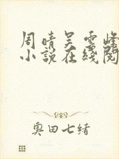 周晴吴云峰李磊小说在线阅读