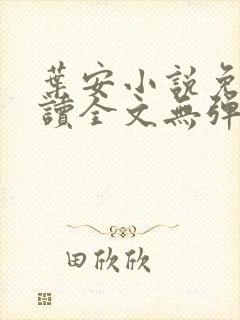 叶安小说免费阅读全文无弹窗封面