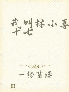 我叫林小喜今年十七封面