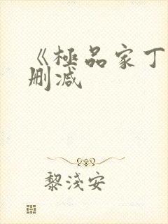 《极品家丁》无删减