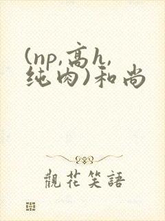 (np,高h,纯肉)和尚