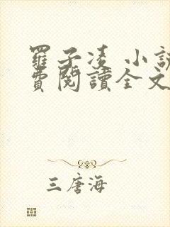 罗子凌 小说免费阅读全文