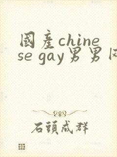 国产chinese gay男男网站
