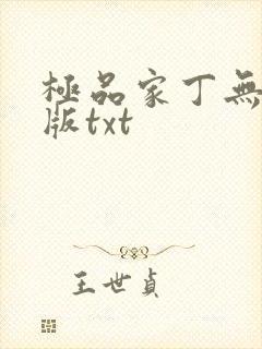 极品家丁无删减版txt