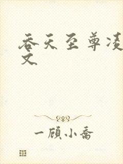 吞天至尊凌霄全文封面