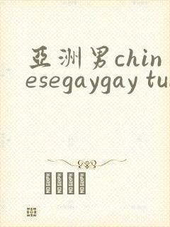 亚洲男chinesegaygay tube