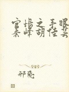 官场之手眼通天秦峰胡佳芸