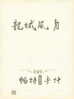 龙城风月封面