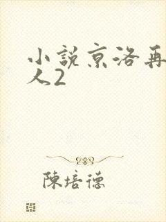 小说京洛再无佳人2封面