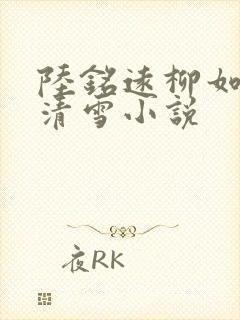 陆铭远柳如烟沈清雪小说