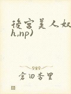 后宫美人奴(高h,np)