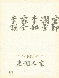 李霖李澜官场小说全部章节目录