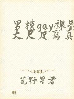 男模gay裸体大尺度写真