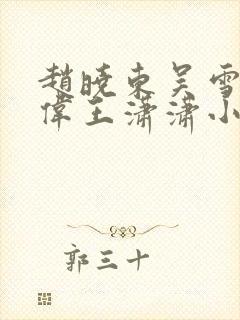 赵晓东吴雪晴郑伟王潇潇小说