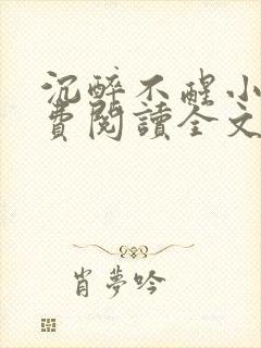 沉醉不醒小说免费阅读全文无弹窗