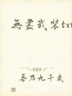 无尽武装txt