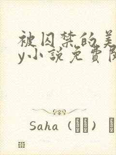 被囚禁的美人by小说免费阅读