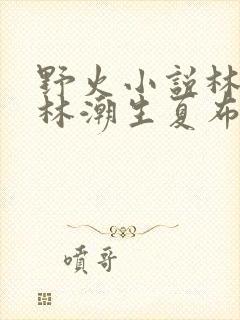 野火小说林晚晚林潮生夏布多昂笔趣阁