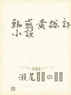 韩燕黄总许婷婷小说