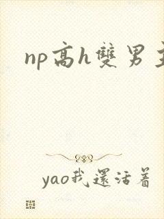 np高h双男主