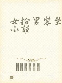 女扮男装坐江山小说