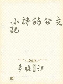 小诗的公交车日记