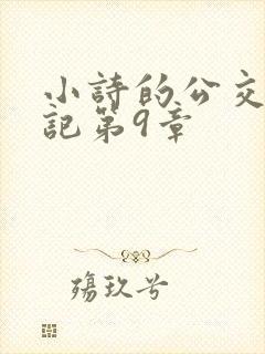 小诗的公交车日记第9章封面