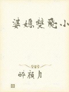 婆媳双飞小说封面