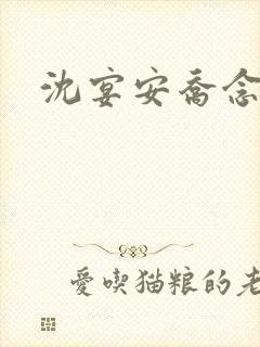 沈宴安乔念小说封面