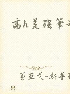 高h美强笔趣阁