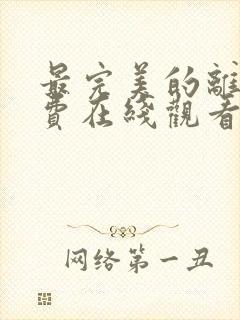 最完美的离婚免费在线观看封面