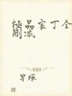 极品家丁全文无删减封面