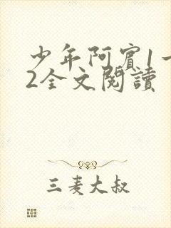 少年阿宾1一72全文阅读