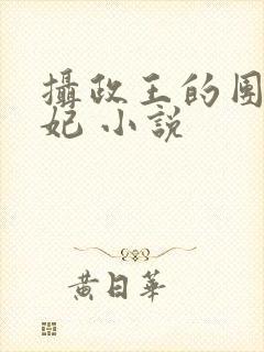 摄政王的团宠医妃 小说