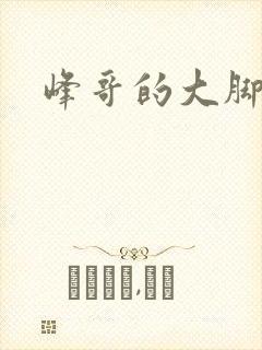 峰哥的大脚