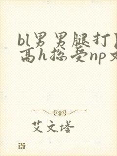 bl男男腿打开高h总受np文