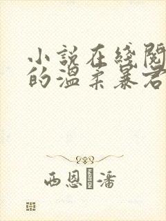 小说在线阅读我的温柔暴君