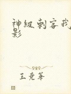 神级刺客我是暗影