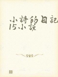 小诗的日记1一15小说