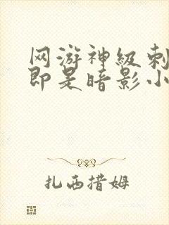 网游神级刺客我即是暗影小说免费阅读