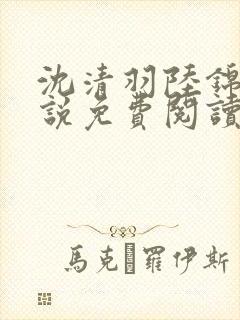 沈清羽陆锦容小说免费阅读最新章节