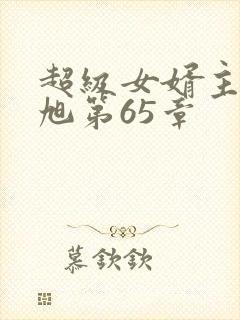 超级女婿主角赵旭第65章封面