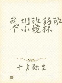 我们班的班花是个小烧杯