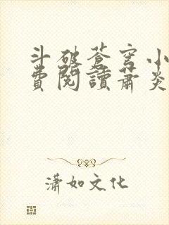 斗破苍穹小说免费阅读萧炎封面