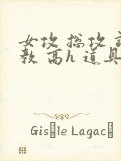 女攻 总攻 调教 高h 道具