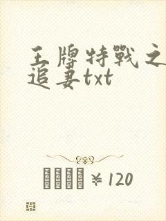 王牌特战之军少追妻txt