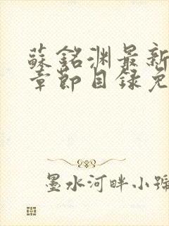 苏铭渊最新更新章节目录免费阅读封面