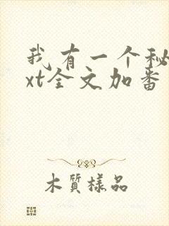 我有一个秘密txt全文加番外封面