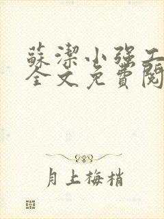 苏洁小强工地情全文免费阅读